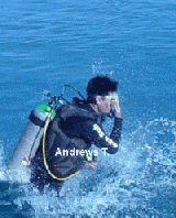 Andrews T