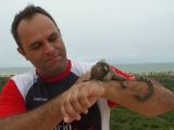 Gilberto Junior