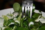 Salada de Folhas Verdes