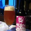 BrewDog IPA Is Dead - Nelson Sauvin