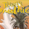 BrewLab Tropical Smoothie