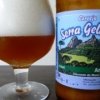 Serra Gelada Belgian Strong Ale