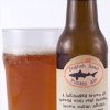 Dogfish Head Punkin Ale