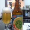 Dama American Lager Citra Dry Hop