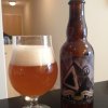 Stillwater Sensory Series v. 1 - Lower Dens