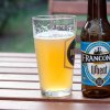 Franconia Wheat