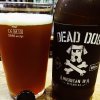 Dead Dog AIPA