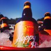Hoppy Bird