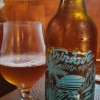 Trindade APA