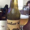 Jester Saison