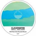 Cloudwater DDH IPA Citra BBC