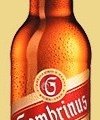 Gambrinus Premium