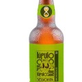 Finito Invicta Hopzoil CTZ