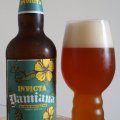 Damiana