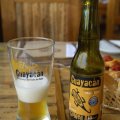 Guayacán Golden Ale