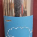 Finback Rolling in Clouds