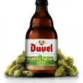 Duvel Tripel Hop 2014 (Mosaic)