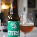 BrewDog IPA Is Dead - Citra