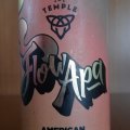 Temple Flow APA