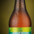 Tandilia American IPA