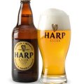 Harp Lager