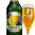 Draft Brazilian