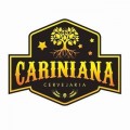 Cariniana Cervejaria Amargosa BA