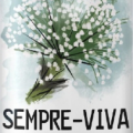 cerveja-tarin-sempre-viva-473ml