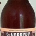 Svatý Norbert IPA