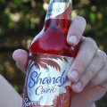 Shandy Carib Sorrel