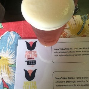Santa Tulipa IPA