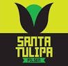 Santa Tulipa Pilsen
