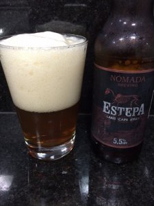 Nómada Estepa - Wagner Gasparetto