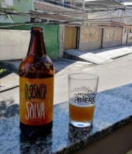 Salva Pilsen