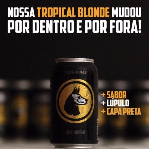 Capa Preta Tropical Blonde Mosaic e Citra