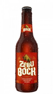 Zebu Bock Zebu Bock