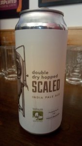 Trillium Double Dry Hopped Scaled IPA