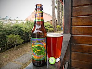 Flying Monkeys Hoptical Illusion Almost Pale Ale