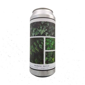 Hedera Helix