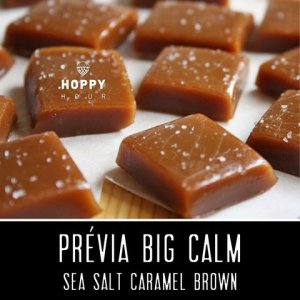 Koala San Brew BIG CALM - Sea Salt Caramel Brown