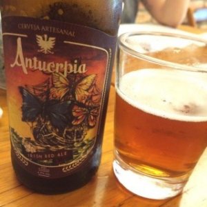 Antuérpia Irish Red Ale