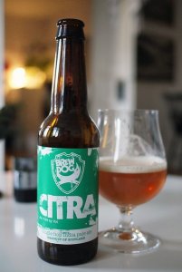 BrewDog IPA Is Dead - Citra