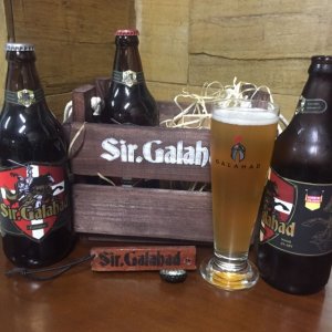 Sir Galahad German Pilsner