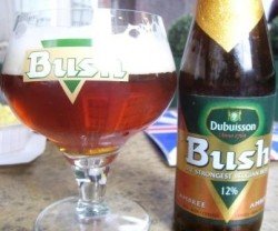 Bush Ambrée