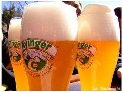 Ayinger Leichte Bräu-Weisse