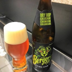 berggren ipa.jpg