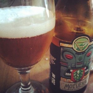 Dama Single Hop Motueka