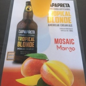 Capa preta Tropical Blonde Mosaic Mango