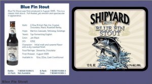 blue fin stout.JPG