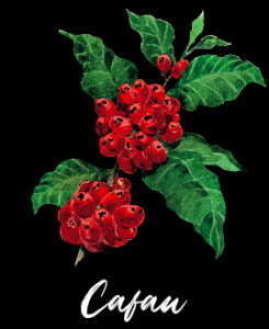 Tarin Cafau